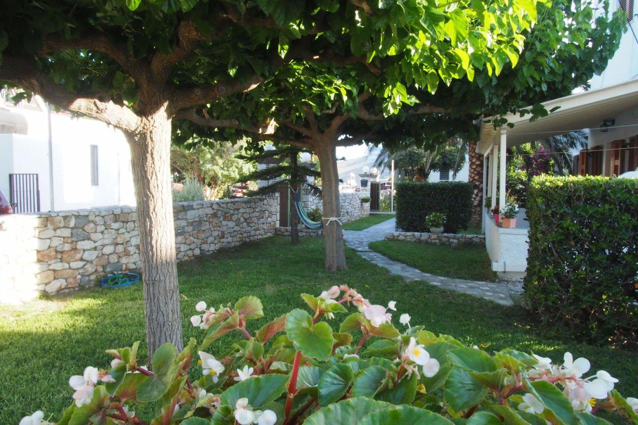 Irini Studios Skyros Exteriör bild